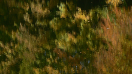 03_WasserHerbst_12_1920_md.JPG