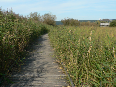 01_P1250594.JPG