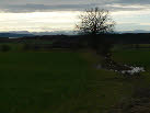 Keltenschanze_07_.jpg